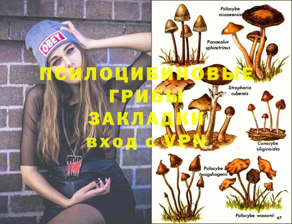 спайс Алзамай