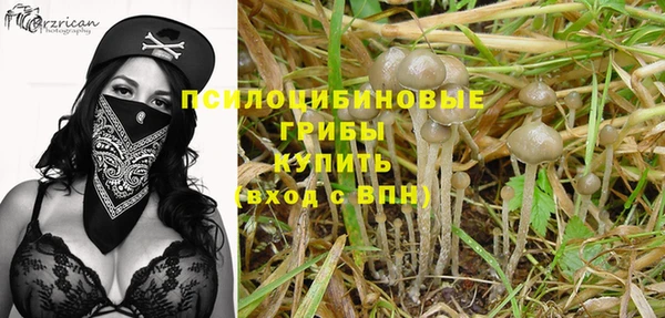 спайс Алзамай