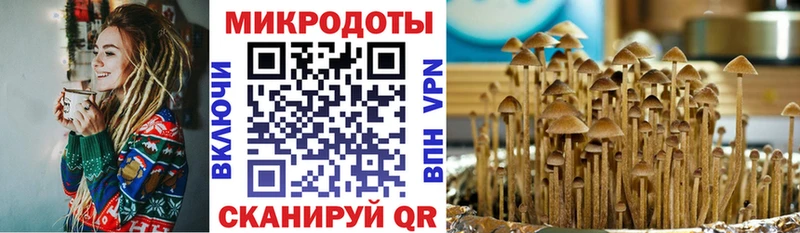 купить наркотики цена Владимир Псилоцибиновые грибы ЛСД