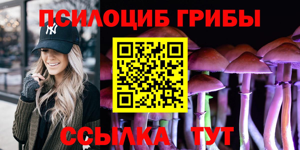 Владимир  Галлюциногенные грибы Psilocybe  Вход с VPN  Псилоцибиновые грибы Psilocybe 